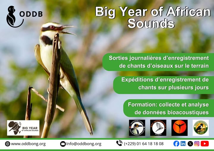L’ODDB ONG et la Station Ornithologique du Bénin s'engagent pour les oiseaux du Bénin ! 